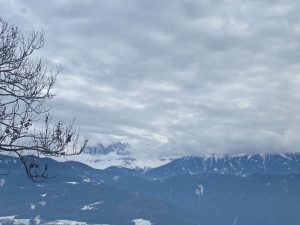 Foto von Rittner Horn - Corno Renon, geteilt von Flosse