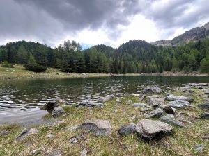 Foto von Großer Schrüttensee - Lago Gelato grande, geteilt von Flosse